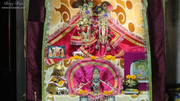 Full deity darshan at Shri Chhain Bihari Kunj, Vrindavan