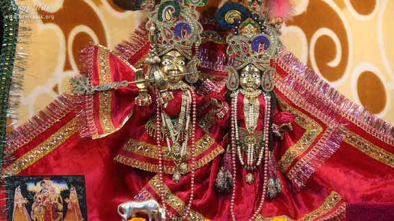 A nice darshan of Shri Chhain Bihari Ji at Shri Chhain Bihari Kunj, Vrindavan