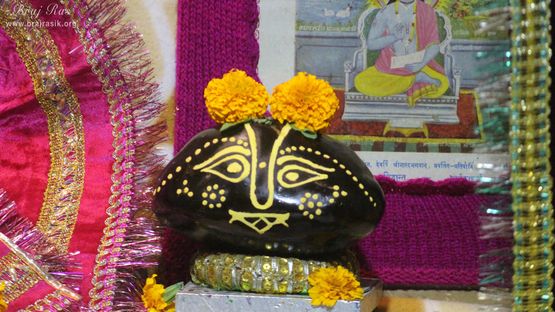 Darshan of Shri Giriraj Ji at Shri Chhain Bihari Kunj, Vrindavan
