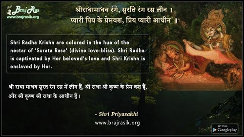 Shri Radhamadhav Range, Surati Rang Rasa Leen - Shri Priyasakhi