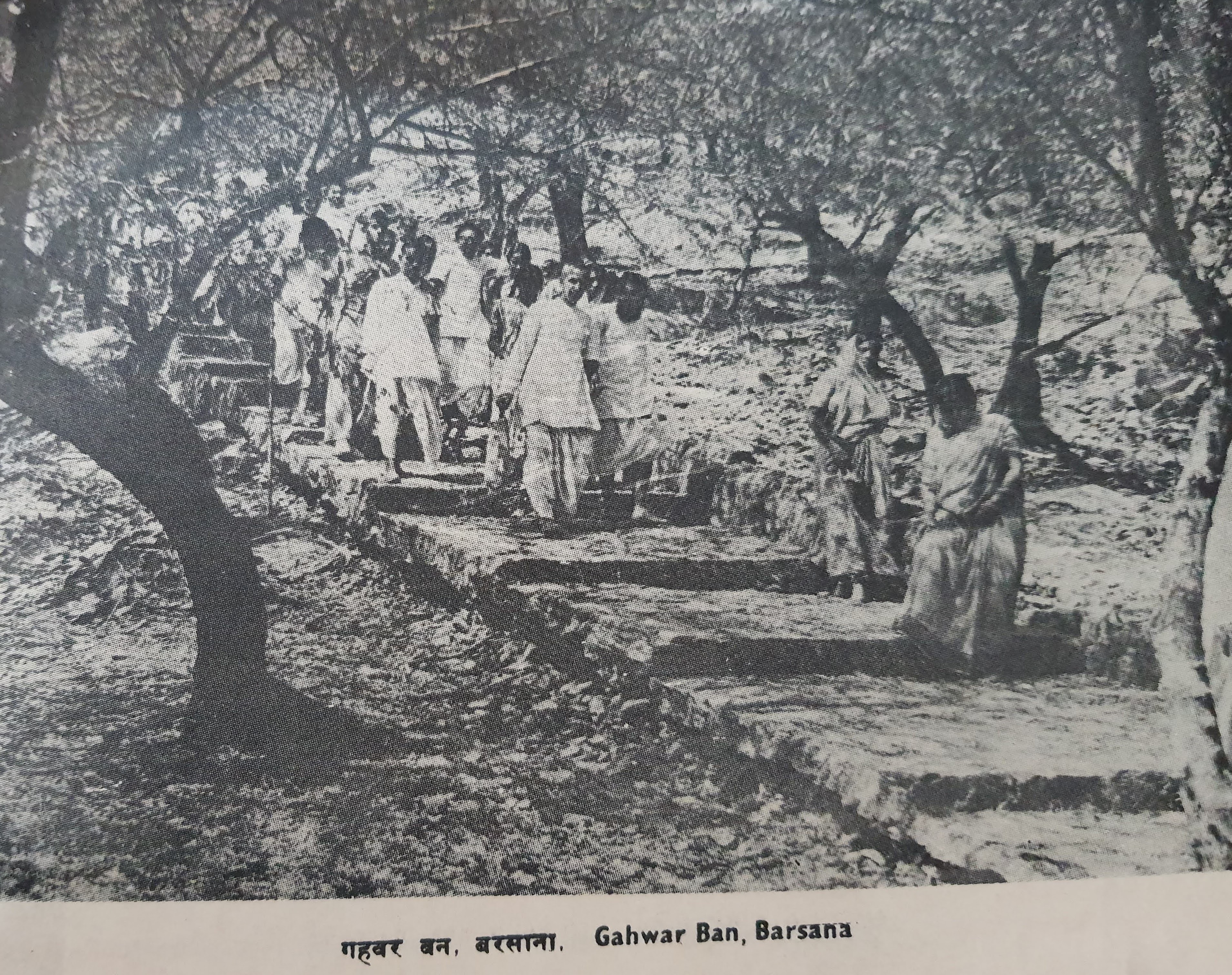 Old Photo of Gehvar or Gehwar Van in Barsana Braj.