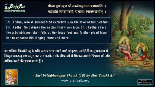 पीत्वा मुखाम्बुज श्री मकरंदामृत- वृषभानुपुर शतक (15)