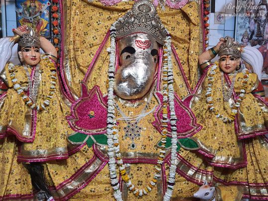 This Mote Ganesha of Vrindavan has His hands upon His thighs which means that He doesn’t want to leave Vrindavan at all. His only wish is to see the divine leela of Shri Radha rani and Shri Krishn. Whoever wishes to have His darshan should go to Vrindavan, He will not move an inch from here.