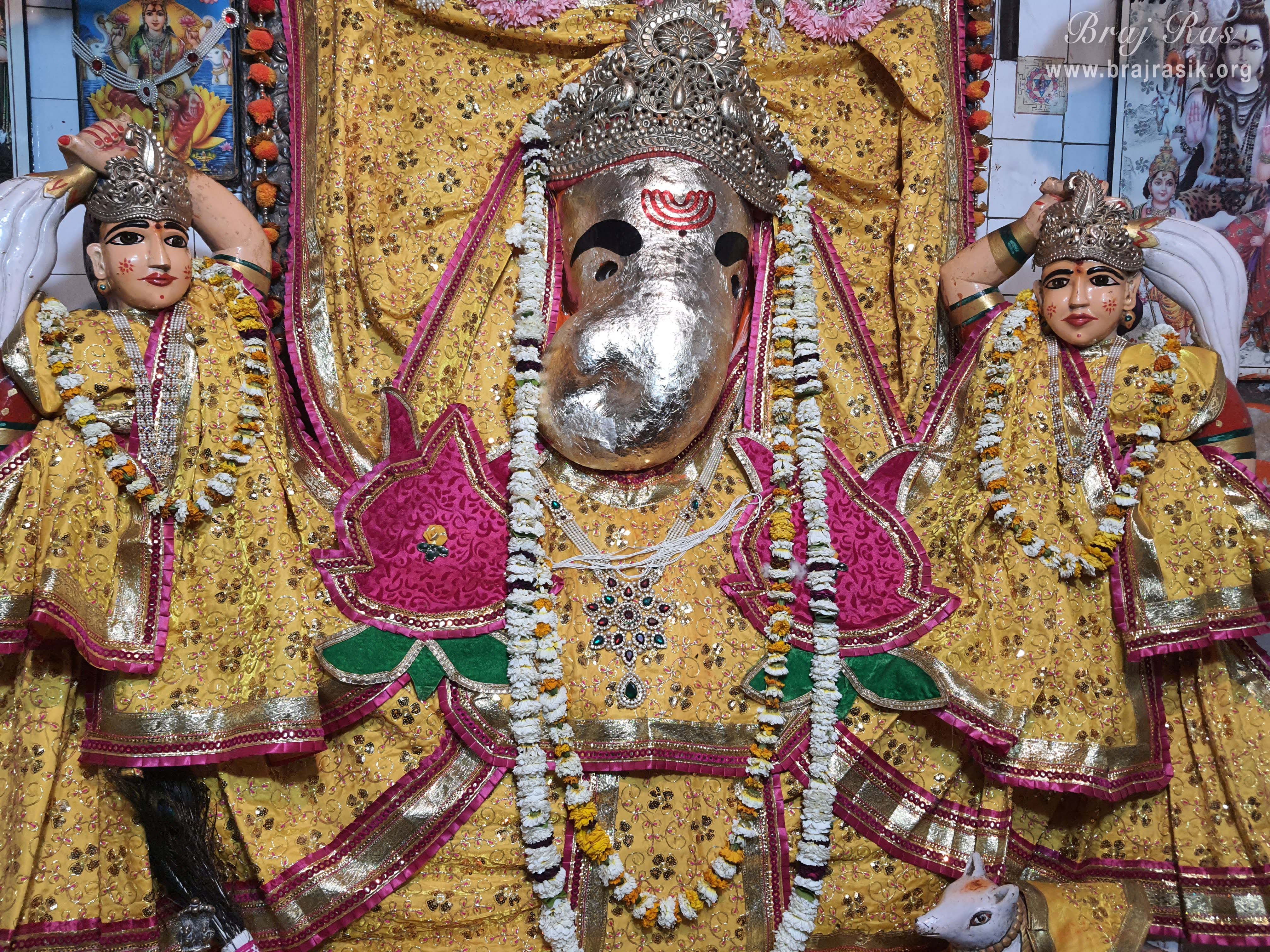 This Mote Ganesha of Vrindavan has His hands upon His thighs which means that He doesn’t want to leave Vrindavan at all. His only wish is to see the divine leela of Shri Radha rani and Shri Krishn. Whoever wishes to have His darshan should go to Vrindavan, He will not move an inch from here.