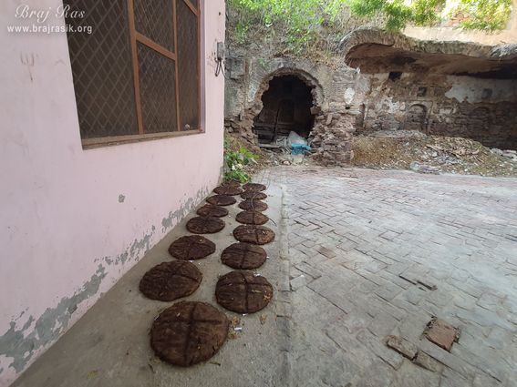 Cow dung has been kept for drying at Ashtasakhi Temple - Barsana