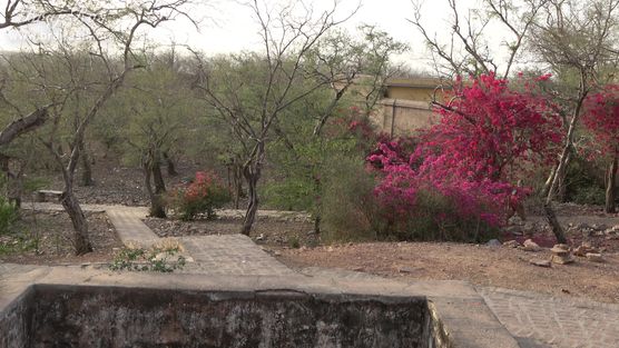 View of parikrama marg at Dan Garh - Barsana