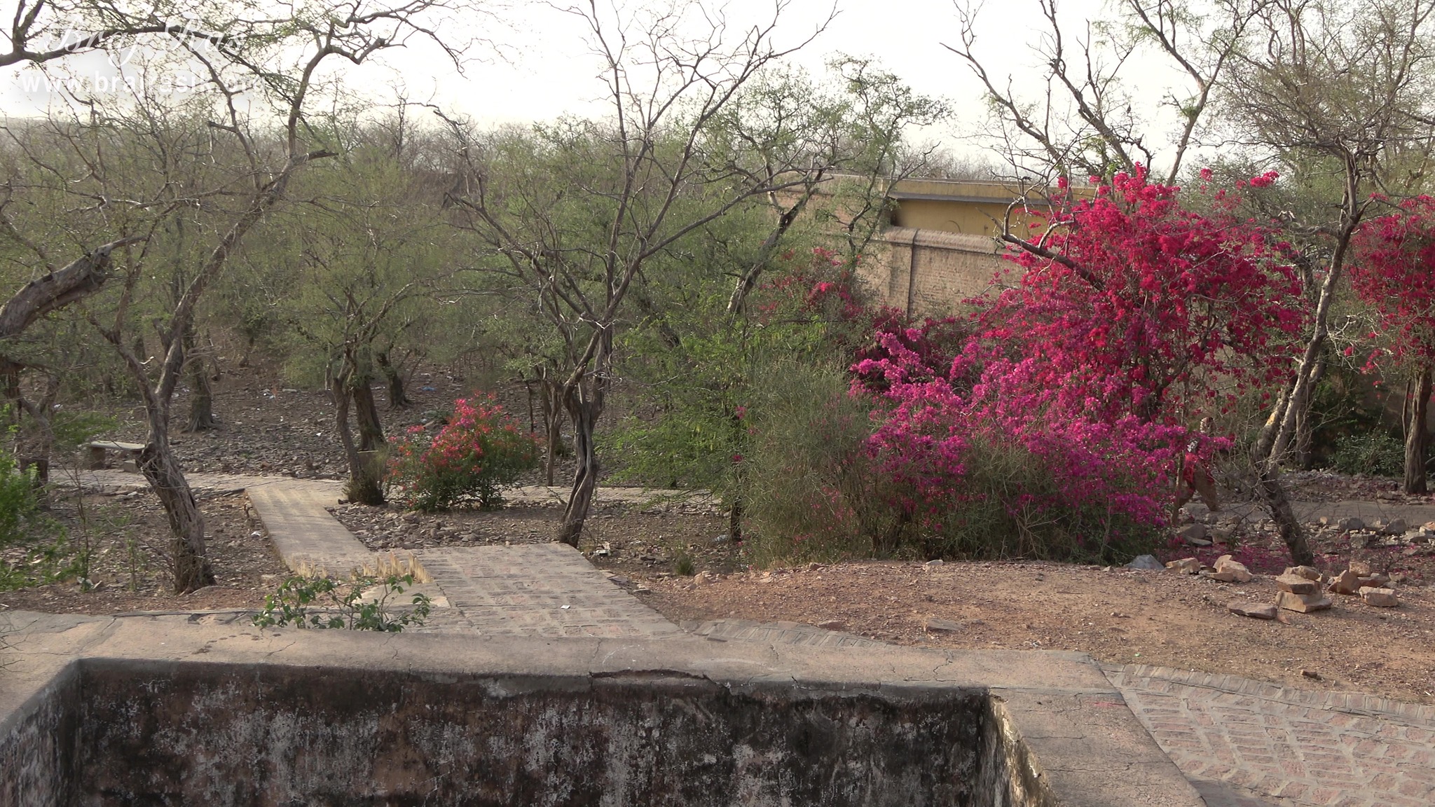 View of parikrama marg at Dan Garh - Barsana