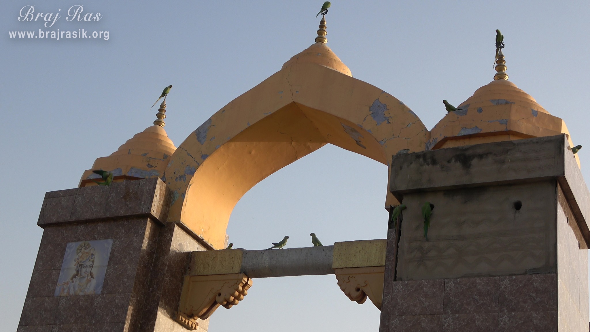 Beautiful view of parrots sitting on entrance gate of Shri Dan Bihari Temple at Dan Garh - Barsana