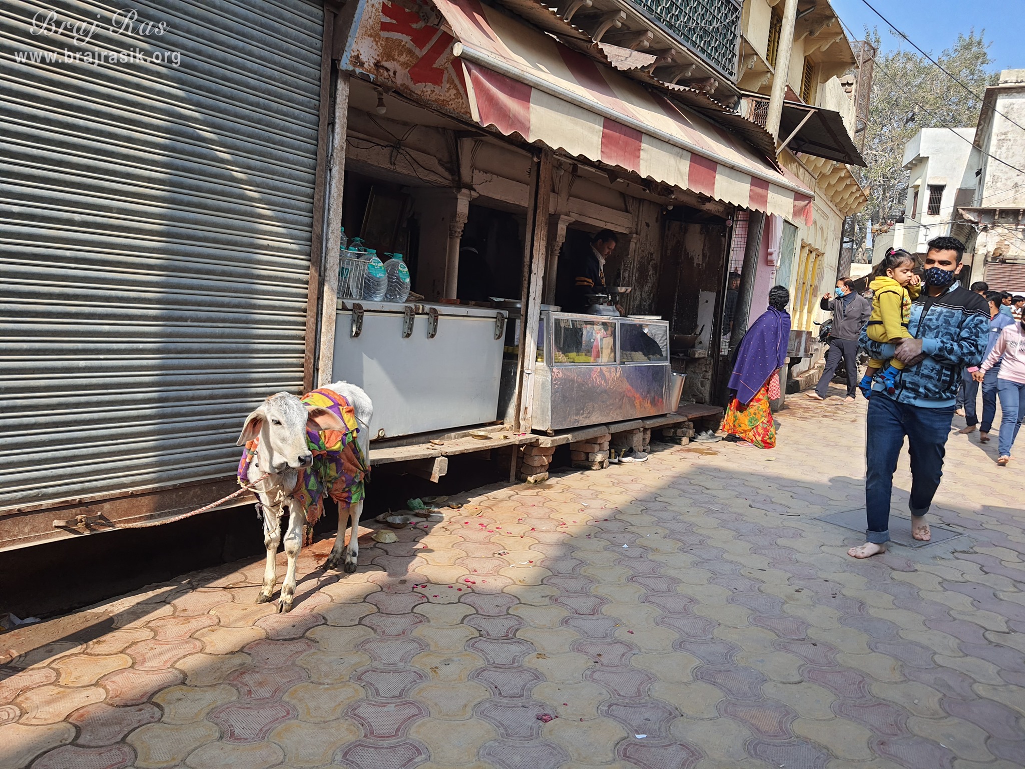 View of Kunj lane of Shri Krishna Chandrama Ju Temple, Vrindavan