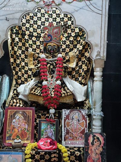 Close darshan of Shri Dau Ji at Shri Dau Ji Ki Bagichi, Vrindavan