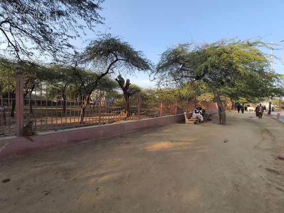 View of Parikrama marg of Govardhan at Shyam Kuti