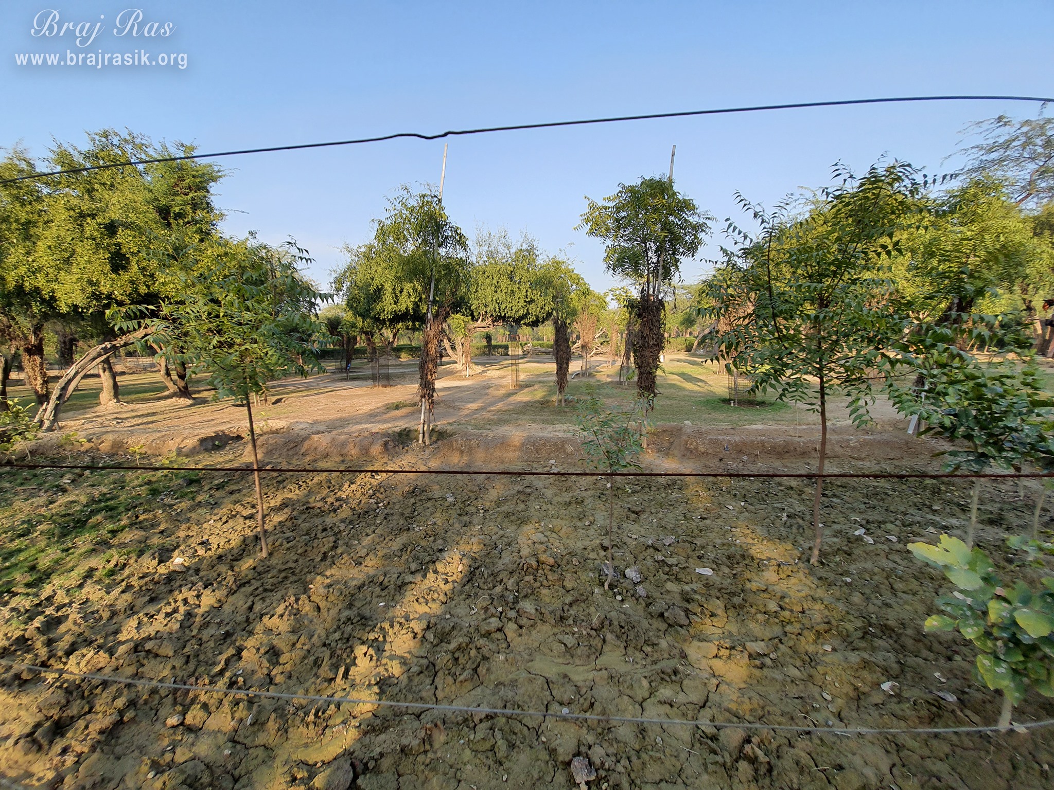 View of greenery at Shyam Kuti