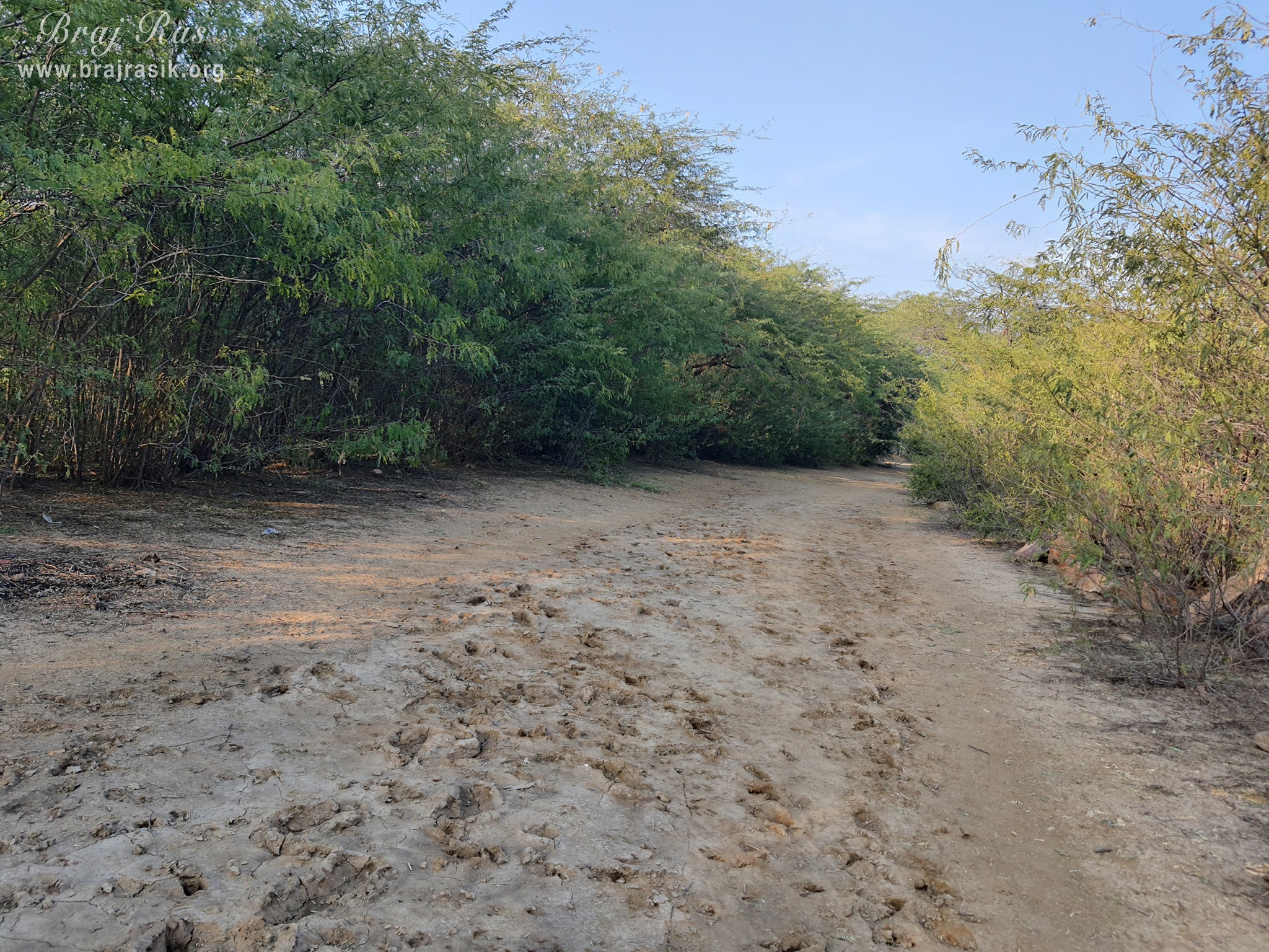 A beautiful road at Shyam Kuti