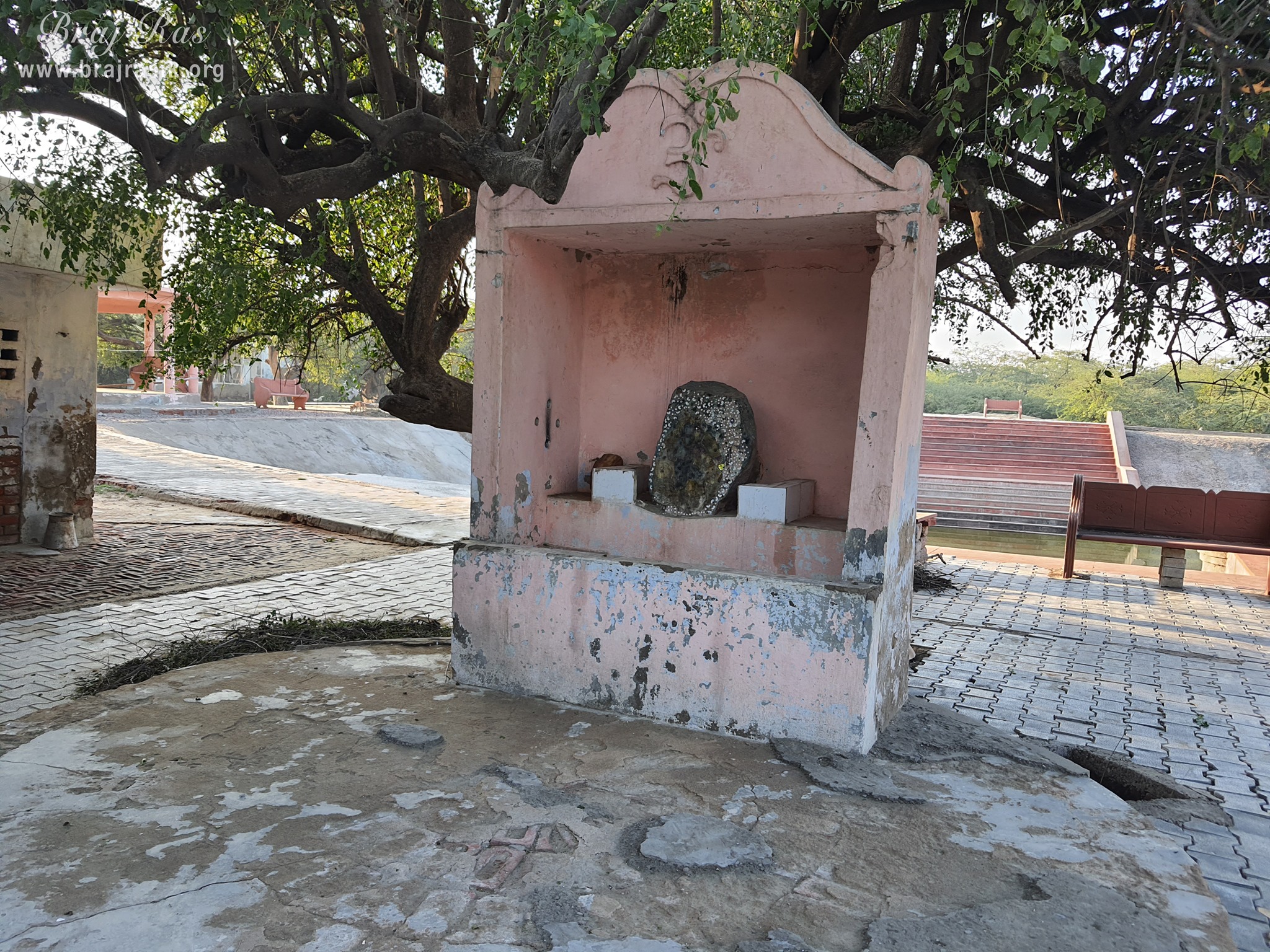This is Ratna Singhasan at Shri Shyam Kuti