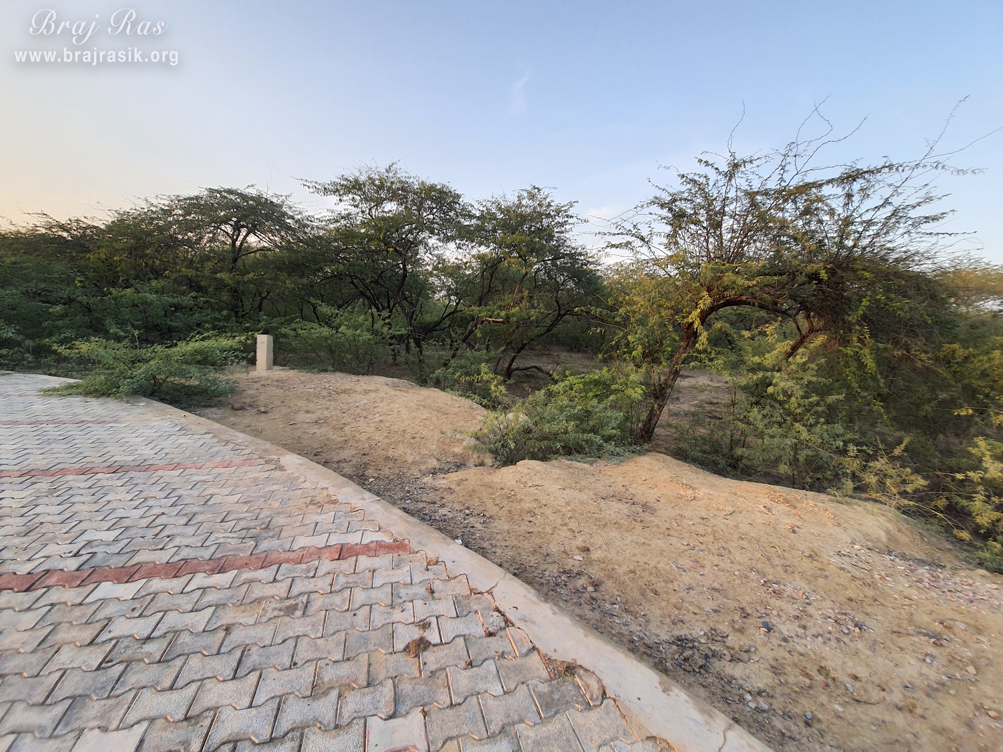 Beautiful view of forest at the pond near Shyam Kuti, Govardhan