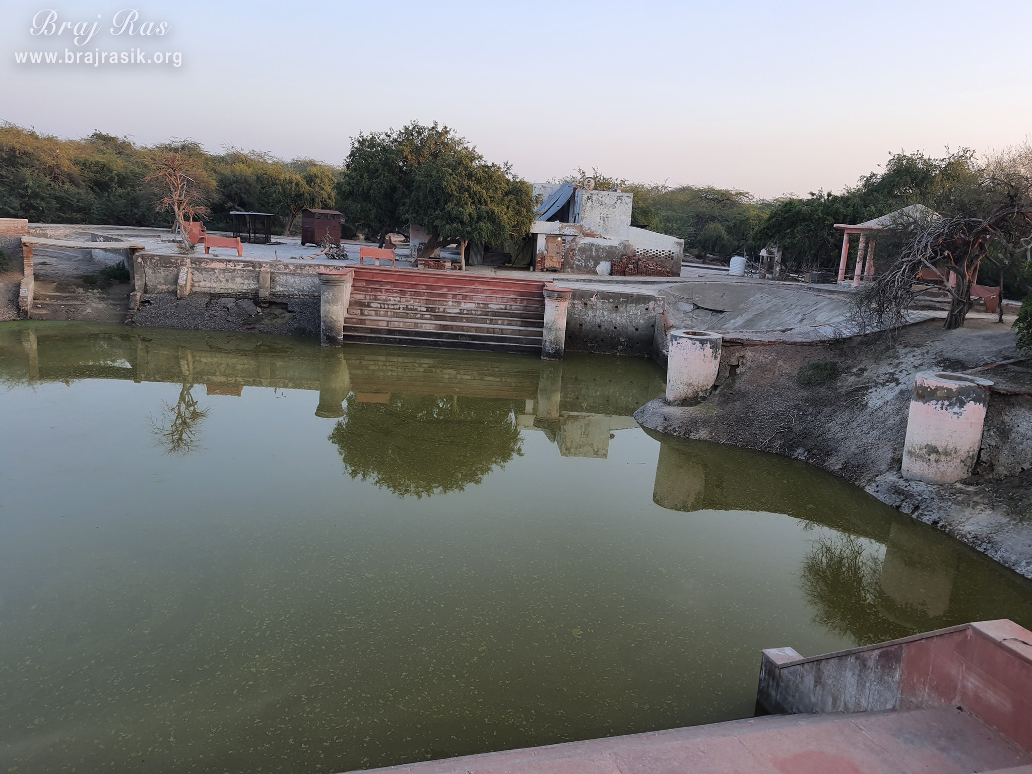 Nice view of forest at the pond near Shyam Kuti, Govardhan