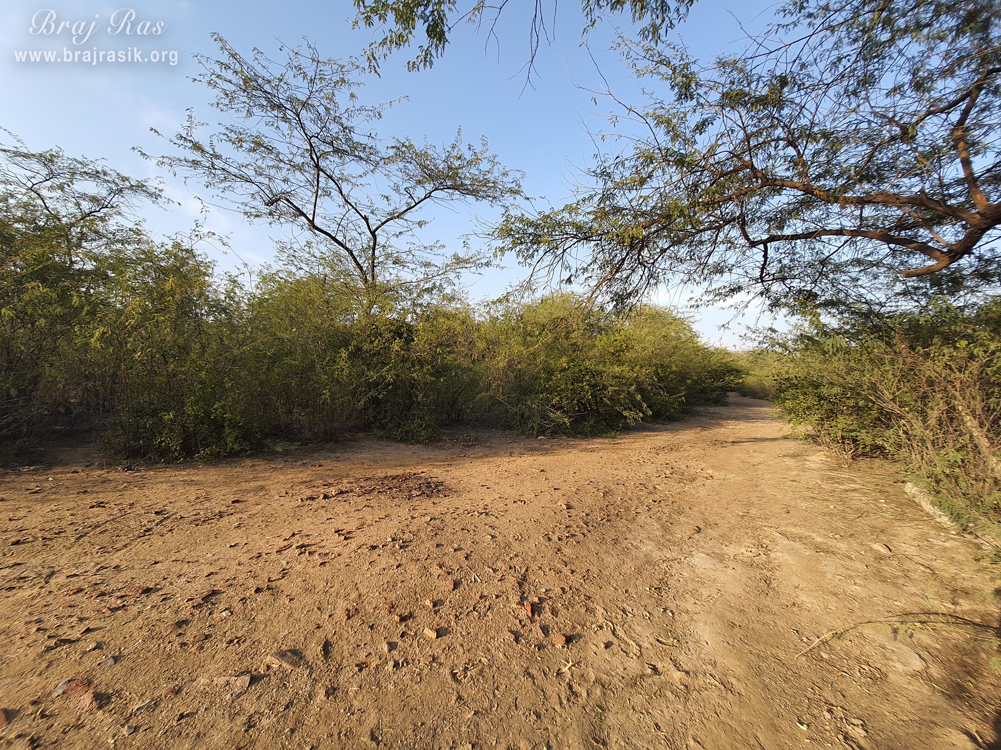 A nice view of a road near Govardhan, Shyam Kuti