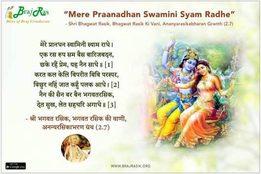 मेरे प्रानधन स्वामिनी स्याम राधे - श्री भगवत रसिक, भगवत रसिक की वाणी, अनन्यरसिकाभरण ग्रंथ (2.7)