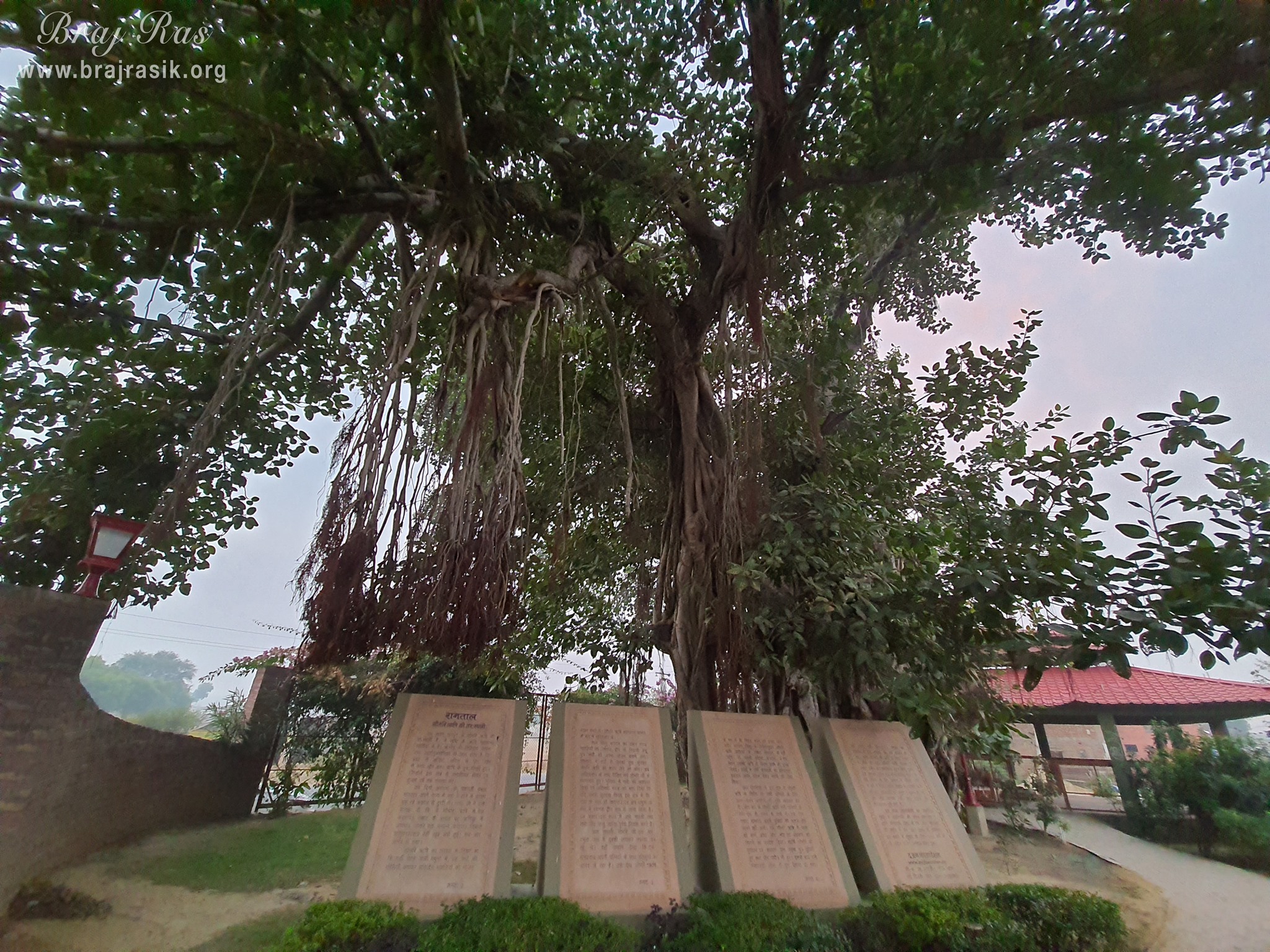 Information written on the stone under a banyan tree at Ramtal, Vrindavan