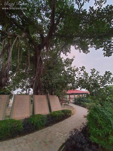 Beautiful view of the path near banyan tree at Ramtal, Vrindavan