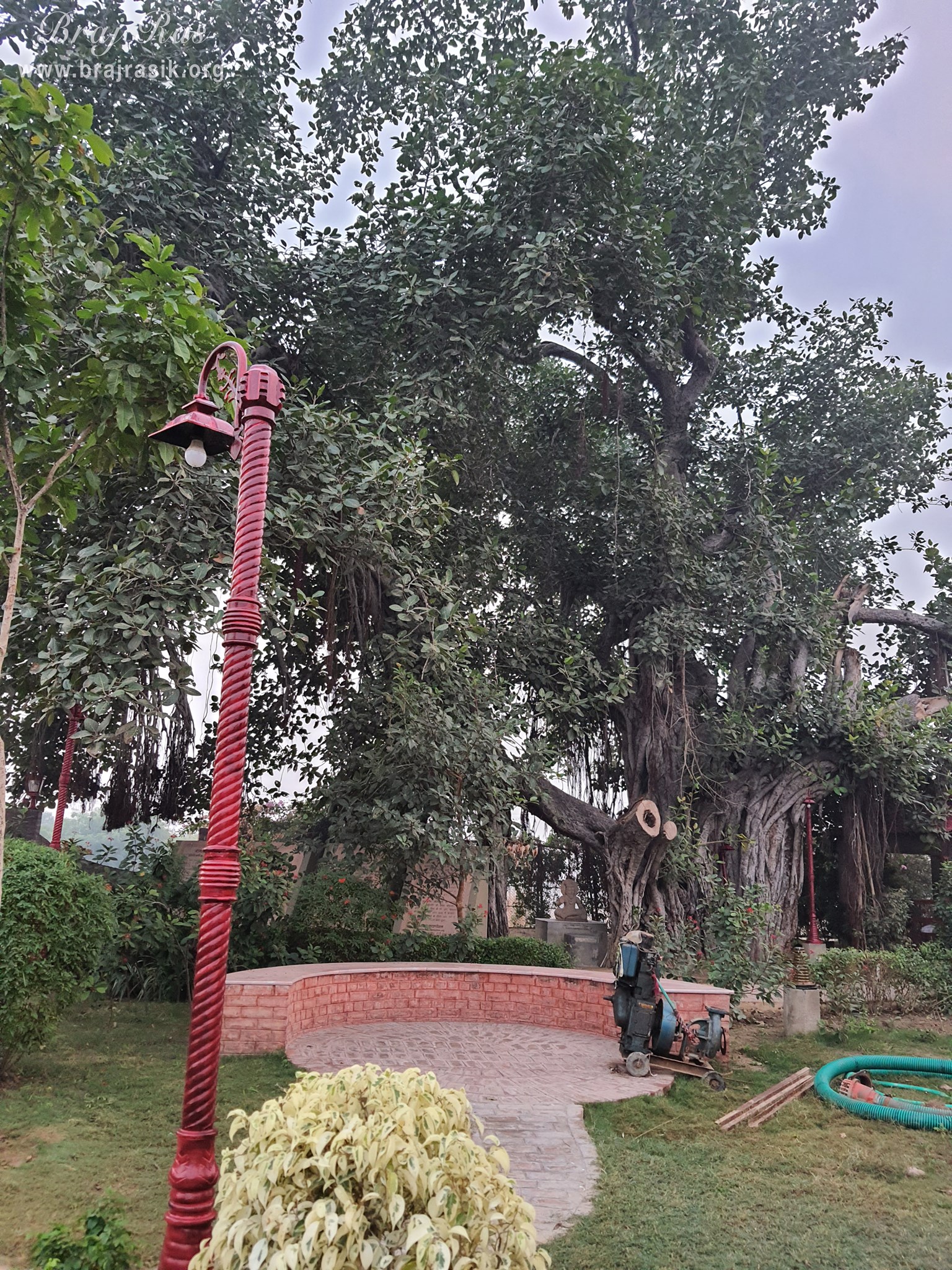 Beautiful view of the greenery at Ramtal, Vrindavan
