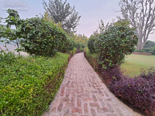 A beautiful picture of the path at Ramtal, Vrindavan
