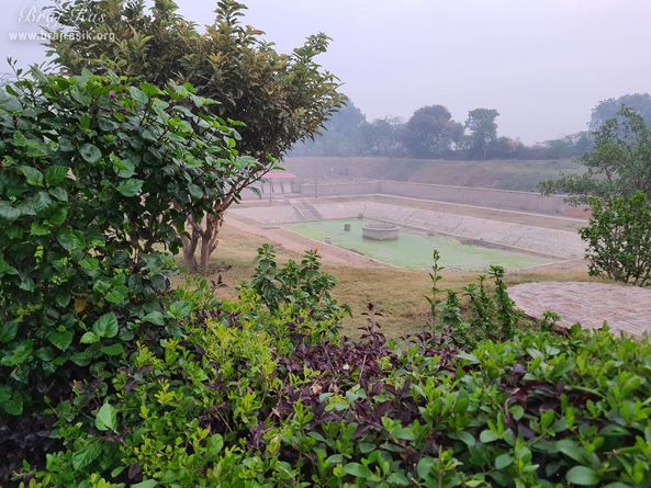 View of Ramtal Kund behind the trees at Ramtal, Vrindavan