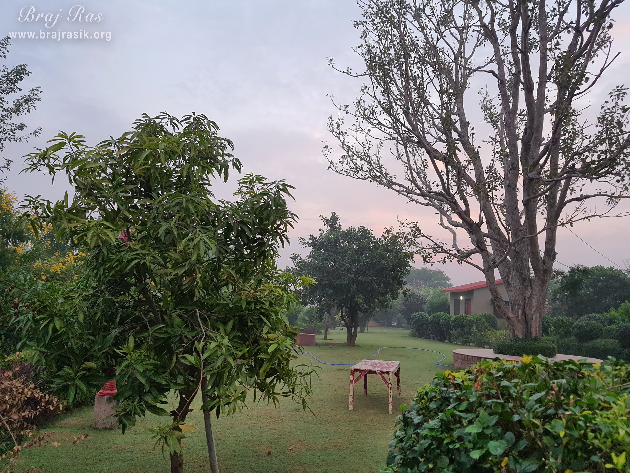 A beautiful garden at Ramtal, Vrindavan