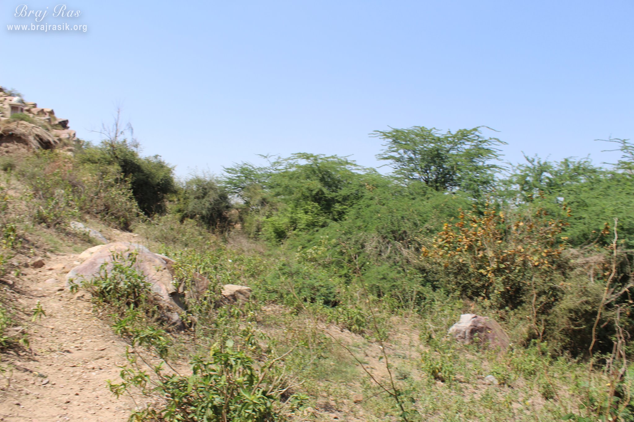 View of the forest near Vyomasur's Cave in Kamyavan.