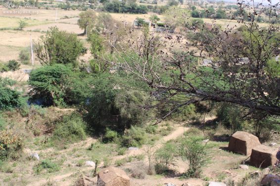 A different view of forest and beautiful fields nearby Vyomasur's Cave in Kamyavan.