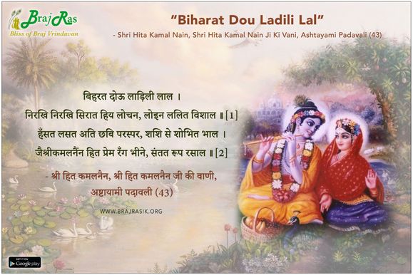 बिहरत दोऊ लाड़िली लाल - श्री हित कमलनैन, श्री हित कमलनैन जी की वाणी, अष्टायामी पदावली (43)