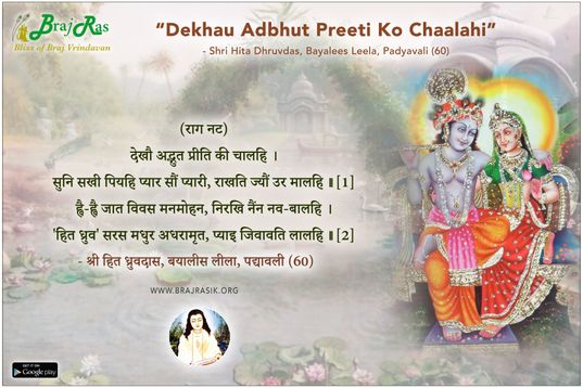 Dekhau Adbhut Preeti Ko Chaalahi - Shri Hita Dhruvdas, Bayalees Leela, Padyavali (60)