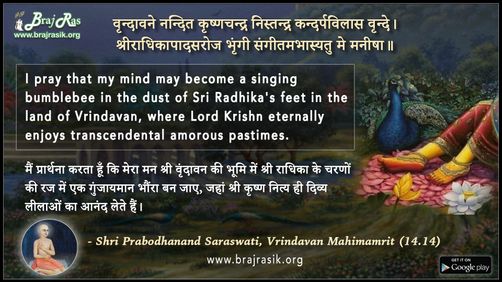 Vrindavane Nandit Krishnachandr Nistandr - Shri Prabodhanand Saraswati, Vrindavan Mahimamrit (14.14)