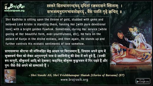 स्वकरे सितचामरन्दधद् - श्री वृषभानुपुर शतक (87), श्री वंशी अली द्वारा रचित