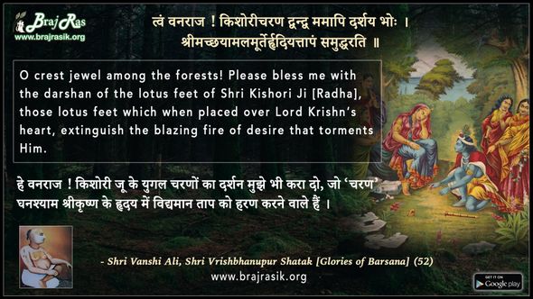 त्वं वनराज ! किशोरीचरण द्वन्द्व - श्री वृषभानुपुर शतक (52), श्री वंशी अली द्वारा रचित