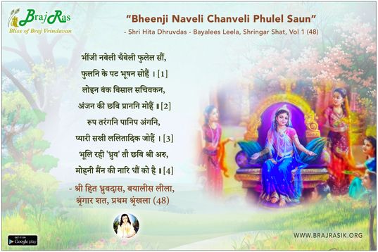 भींजी नवेली चँवेली फुलेल सौं - श्री ध्रुवदास - बयालीस लीला, श्रृंगार शत (1.48)
