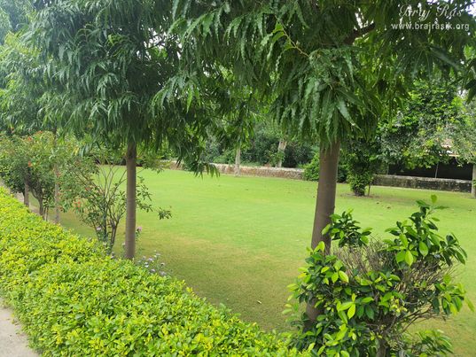 Garden View of Devaraha Baba Samadhi/Bhajan Sthal.