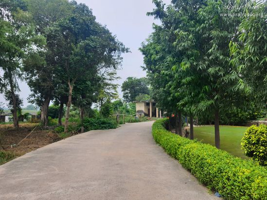 Pathway for Devaraha Baba Samadhi/Bhajan Sthal.