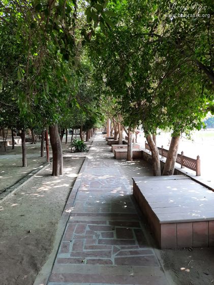 A view of the beautiful forest of Ramanreti, Gokul - Braj where Shri Krishn Balram used to roam with their cowherd friends.