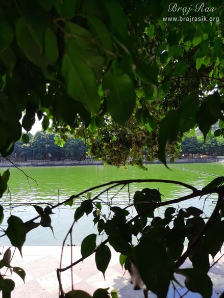 View of Raman Kund behind the tree at Ramanreti, Gokul - Braj.