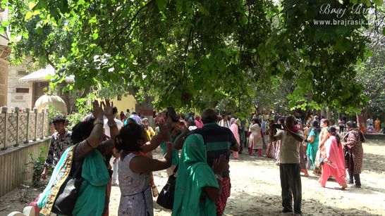 Devotees enjoying in the sand of Ramanreti, Gokul - Braj.