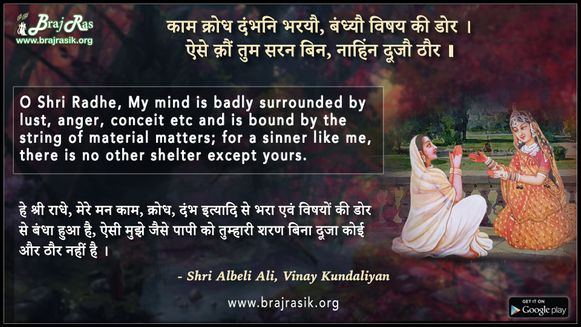 Kaam Krodh Dambhani Bharyau - Shri Albeli Ali, Vinay Kundaliyan (9)