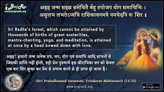 अहह जन्म सहस्र समेधितै - श्री प्रबोधानन्द सरस्वती, वृन्दावन महिमामृत (15.25)