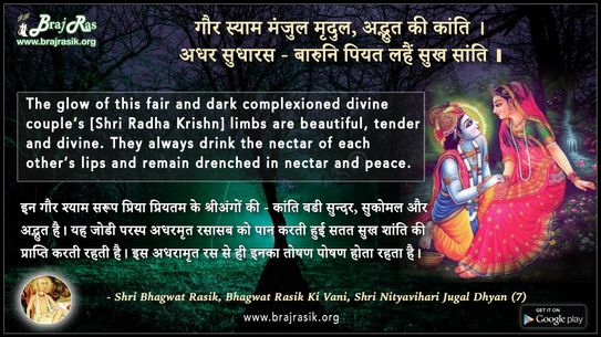 गौर स्याम मंजुल मृदुल, अद्भुत की कांति  - श्री भगवत रसिक की वाणी, श्री नित्यविहारी जुगल ध्यान (7)