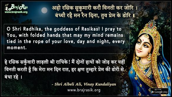 अहो रसिक सुकुमारी करौ विनती कर जोरि  - श्री अलबेली अलि, विनय कुंडलियाँ (17)