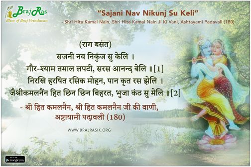 Sajani Nav Nikunj Su Keli  - Shri Hita Kamal Nain Ji Ki Vani, Ashtayami Padavali (180)