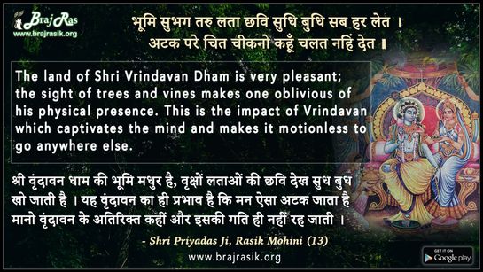 भूमि सुभग तरु लता छवि सुधि बुधि सब हर लेत - श्री प्रियादास जी, रसिक मोहिनी (13)