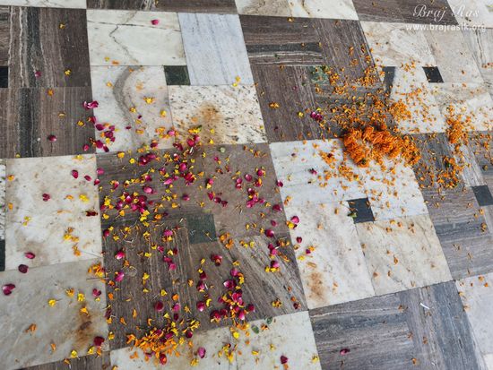 View of flowers scattered on the floor at Hanuman Garhi Temple, Vrindavan.