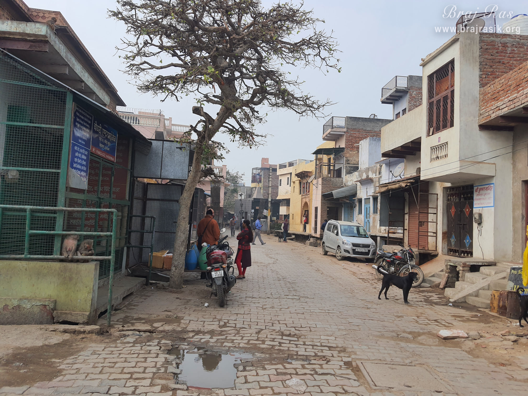 View of surroundings of Hanuman Garhi Temple, Vrindavan.