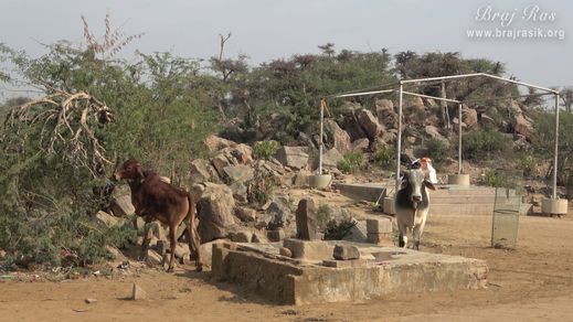 View of Goverdhan Hill at Naval Kund in Punchari, Govardhan 